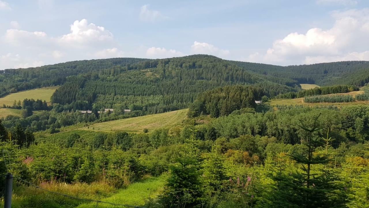 Ferienwohnung " Bianco" Winterberg Zewnętrze zdjęcie